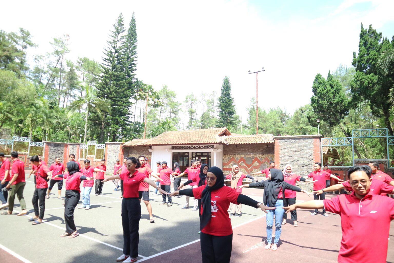 WhatsApp Image 2025-02-05 at 17.19.58_172074a6